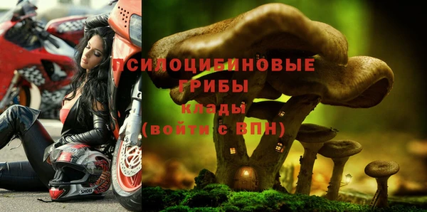 ешки Алзамай